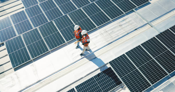 Best Roof Maintenance and Cleaning  in Harper Woods, MI