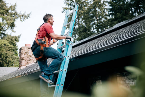 Best Green or Eco-Friendly Roofing Solutions  in Harper Woods, MI