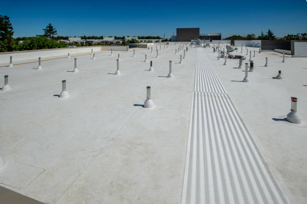 Best Roof Coating and Sealing  in Harper Woods, MI